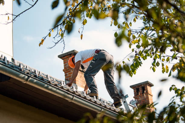 Best Tile Roofing Contractor  in Maple Lake, MN