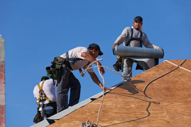 Best Best Roofing Contractors  in Maple Lake, MN