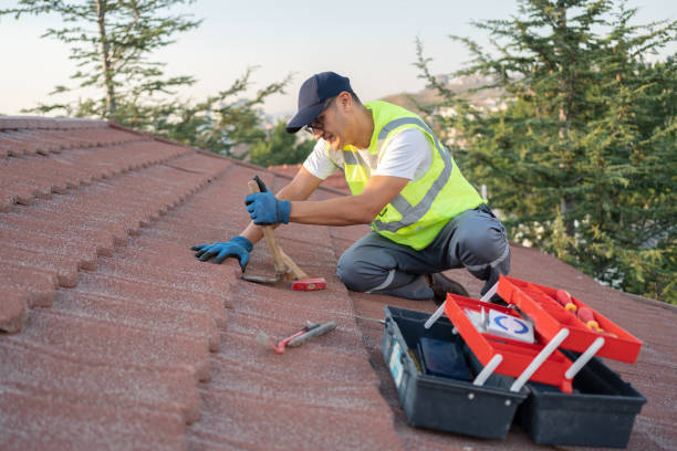 Best Local Roofing Companies  in Maple Lake, MN