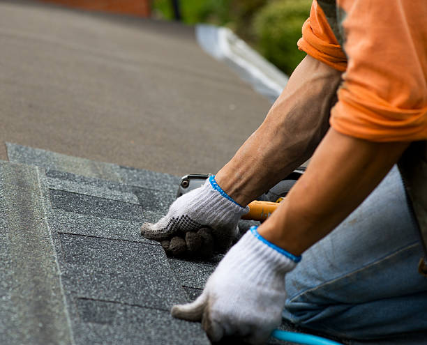 Best Roof Replacement Cost  in Maple Lake, MN