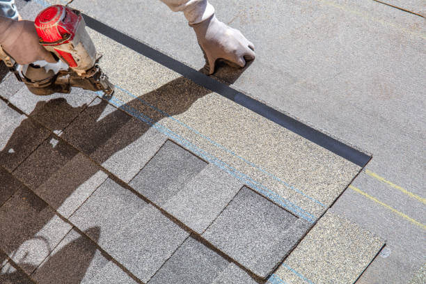 Best Roof Leak Repair  in Maple Lake, MN