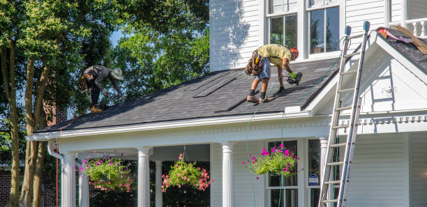 Best Roof Maintenance Services  in Maple Lake, MN