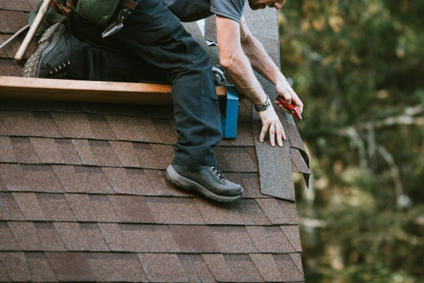Best Residential Roofing Contractor  in Maple Lake, MN