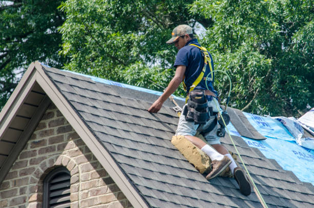 Best Roof Gutter Cleaning  in Maple Lake, MN