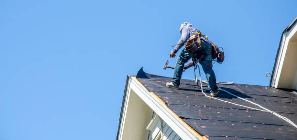 Best New Roof Installation  in Maple Lake, MN